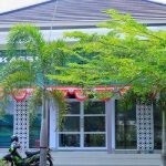 Masjid Kassiti